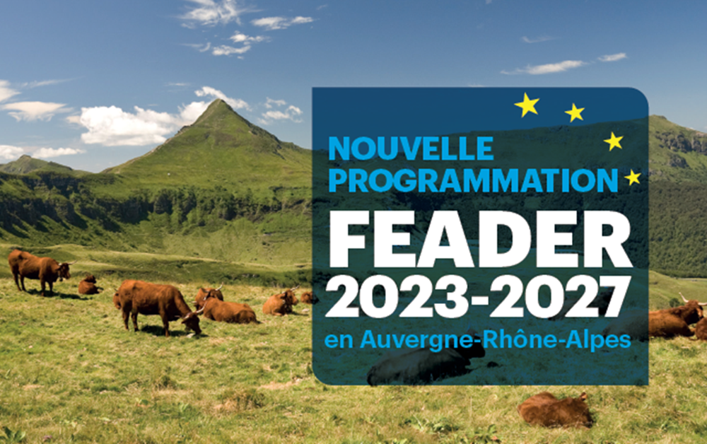 L’appel à candidatures « Investir dans mon exploitation d’élevage » est ouvert !